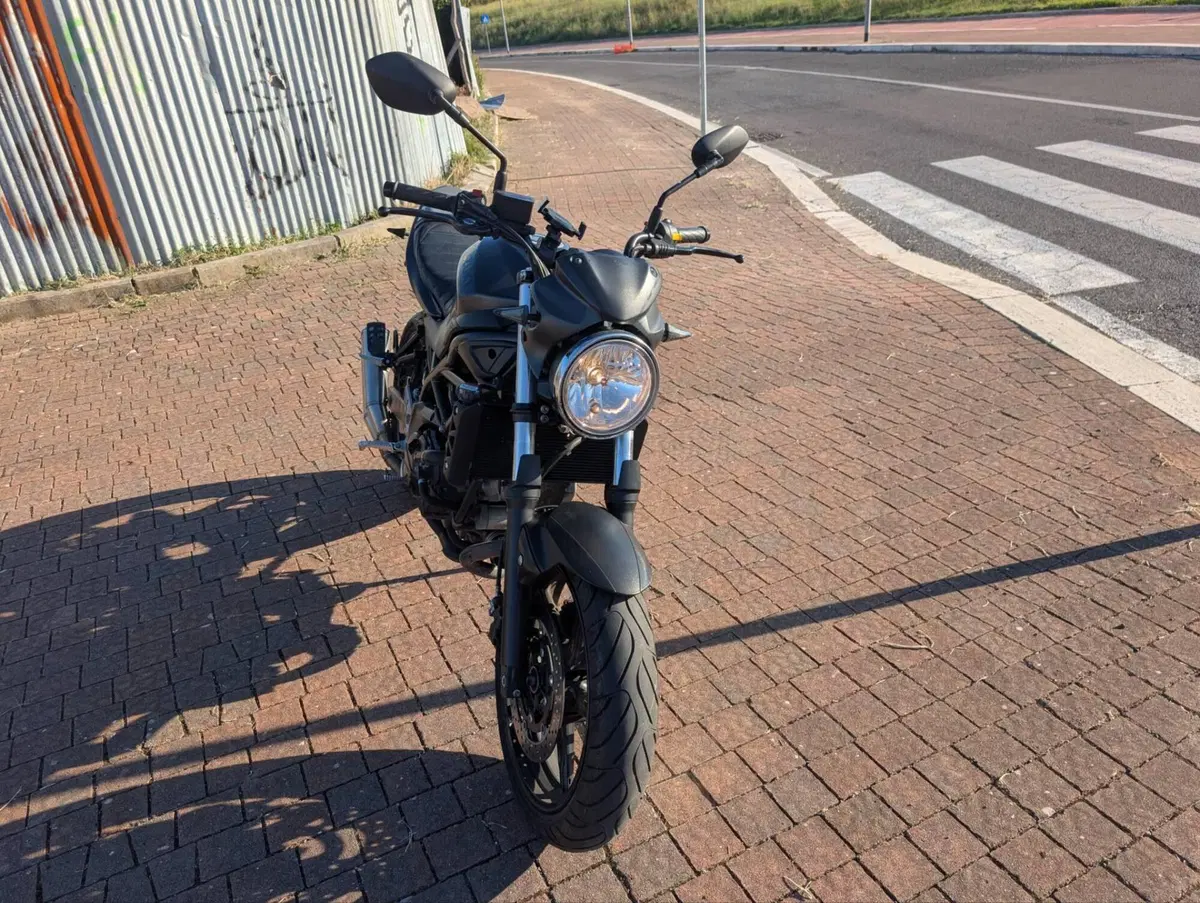 Suzuki SV 650 X (2018 - 20) (3)