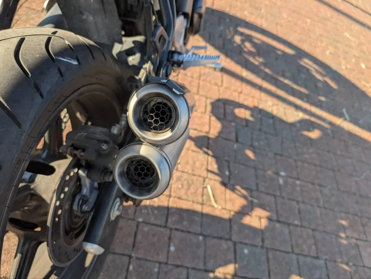 Suzuki SV 650 X (2018 - 20) (11)