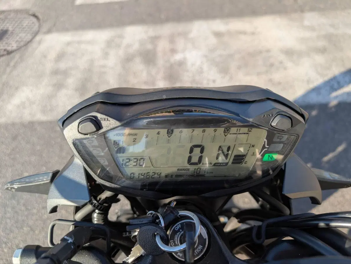 Suzuki SV 650 X (2018 - 20) (13)