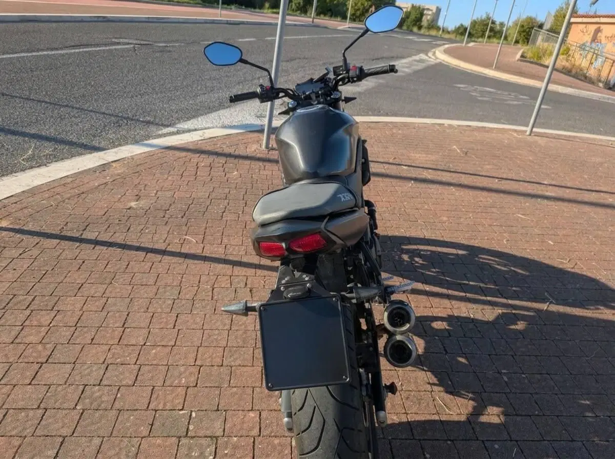 Suzuki SV 650 X (2018 - 20) (15)