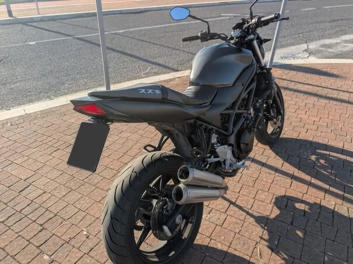Suzuki SV 650 X (2018 - 20) (16)