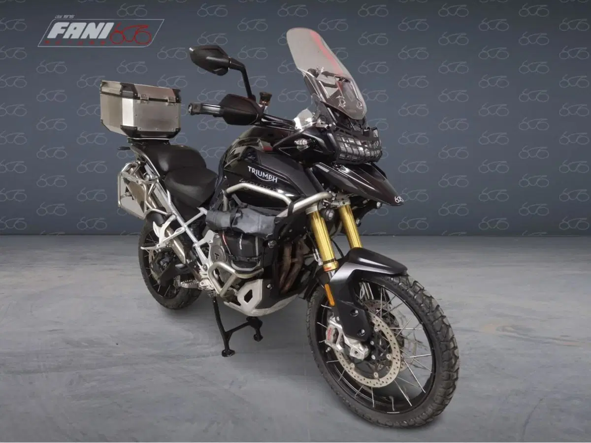 Triumph Tiger 1200 Rally Explorer (2022 - 23) (3)