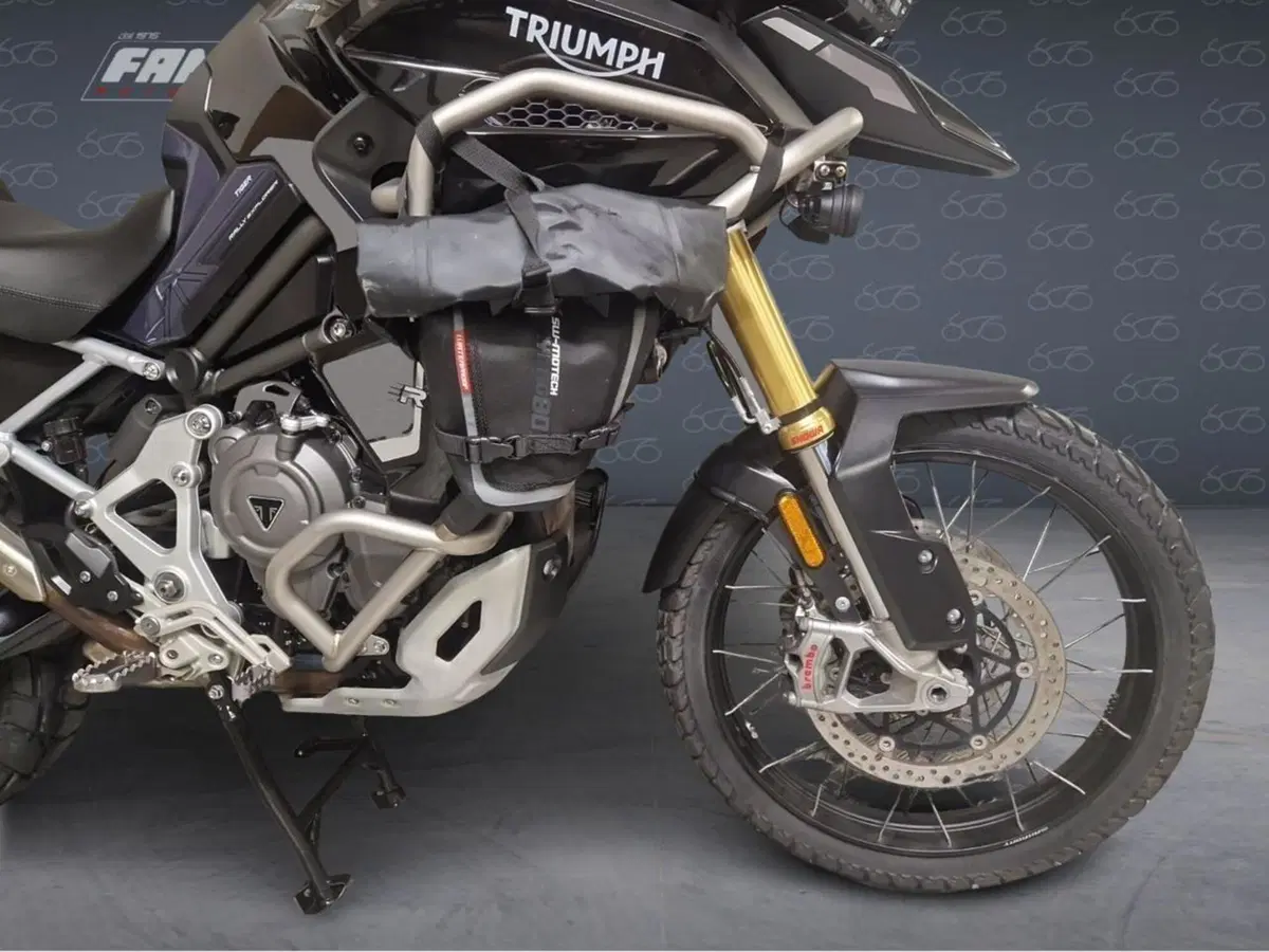 Triumph Tiger 1200 Rally Explorer (2022 - 23) (2)