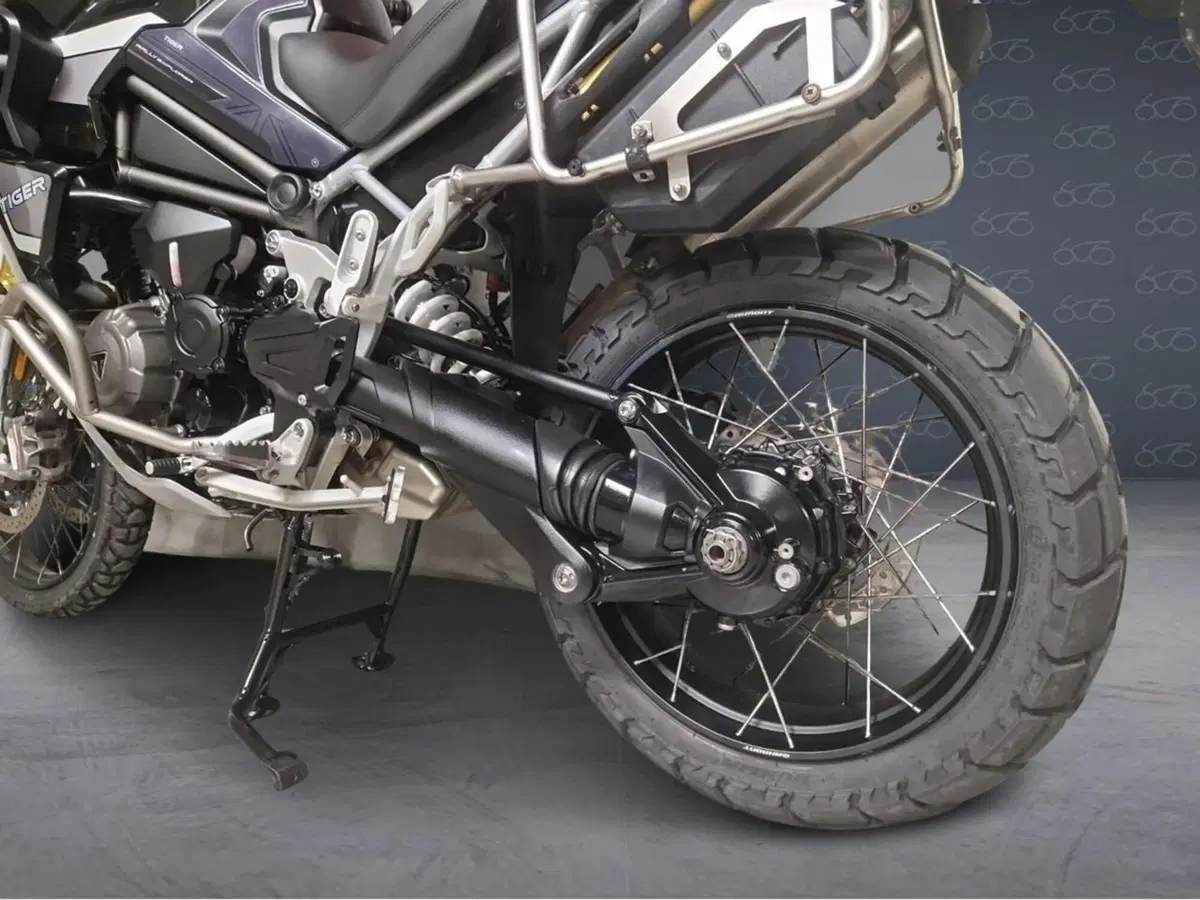 Triumph Tiger 1200 Rally Explorer (2022 - 23) (6)