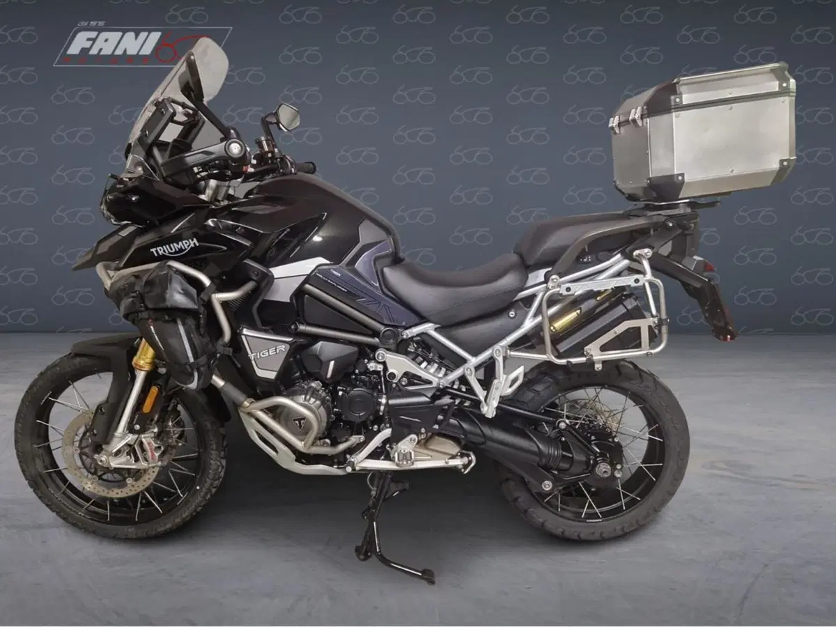 Triumph Tiger 1200 Rally Explorer (2022 - 23) (5)