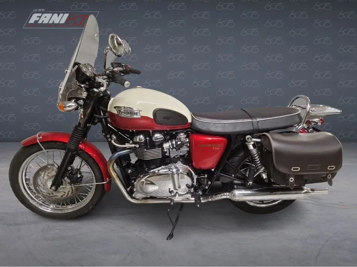 Triumph Bonneville T100 (2008 - 16) (2)