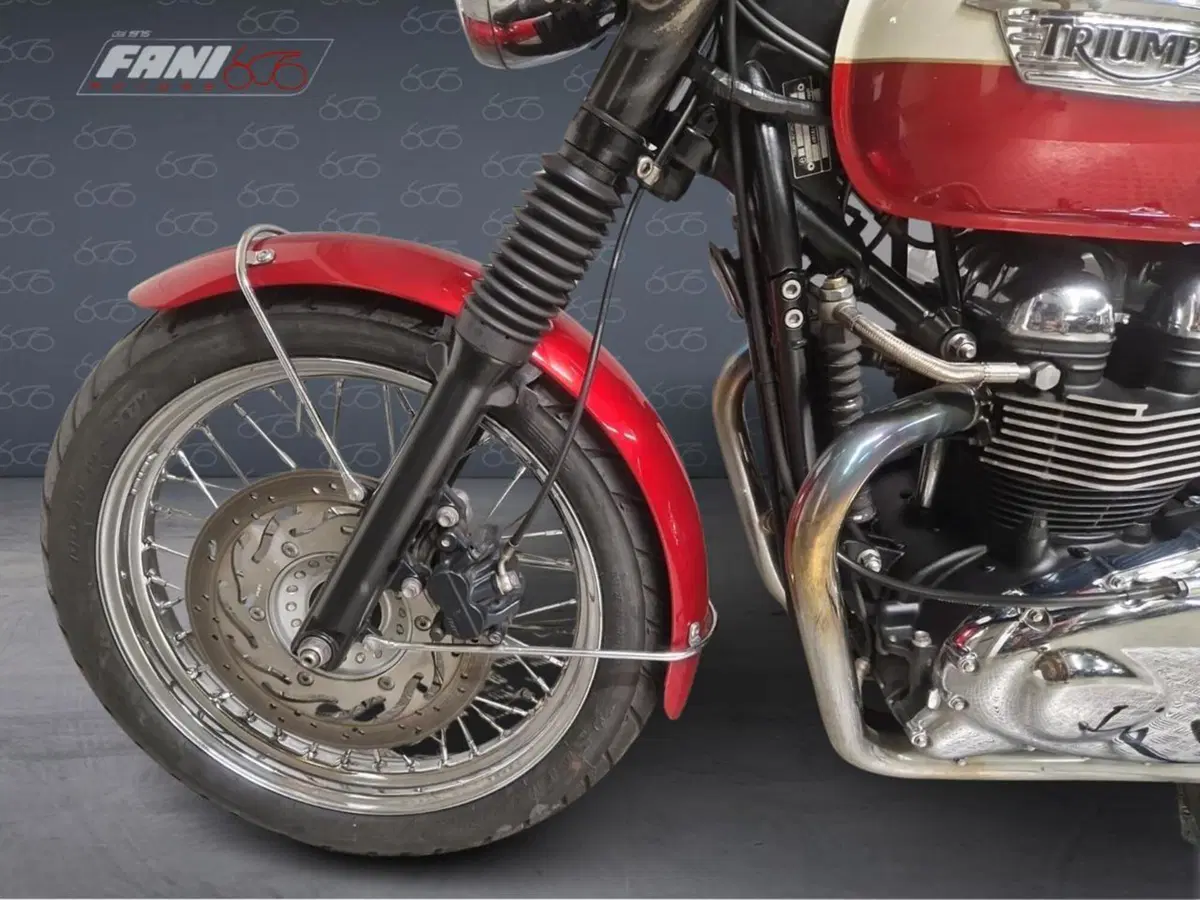 Triumph Bonneville T100 (2008 - 16) (3)