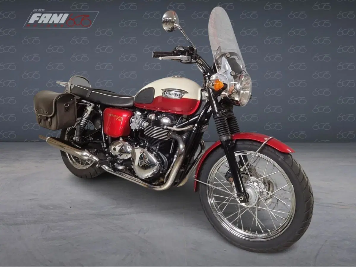 Triumph Bonneville T100 (2008 - 16) (4)