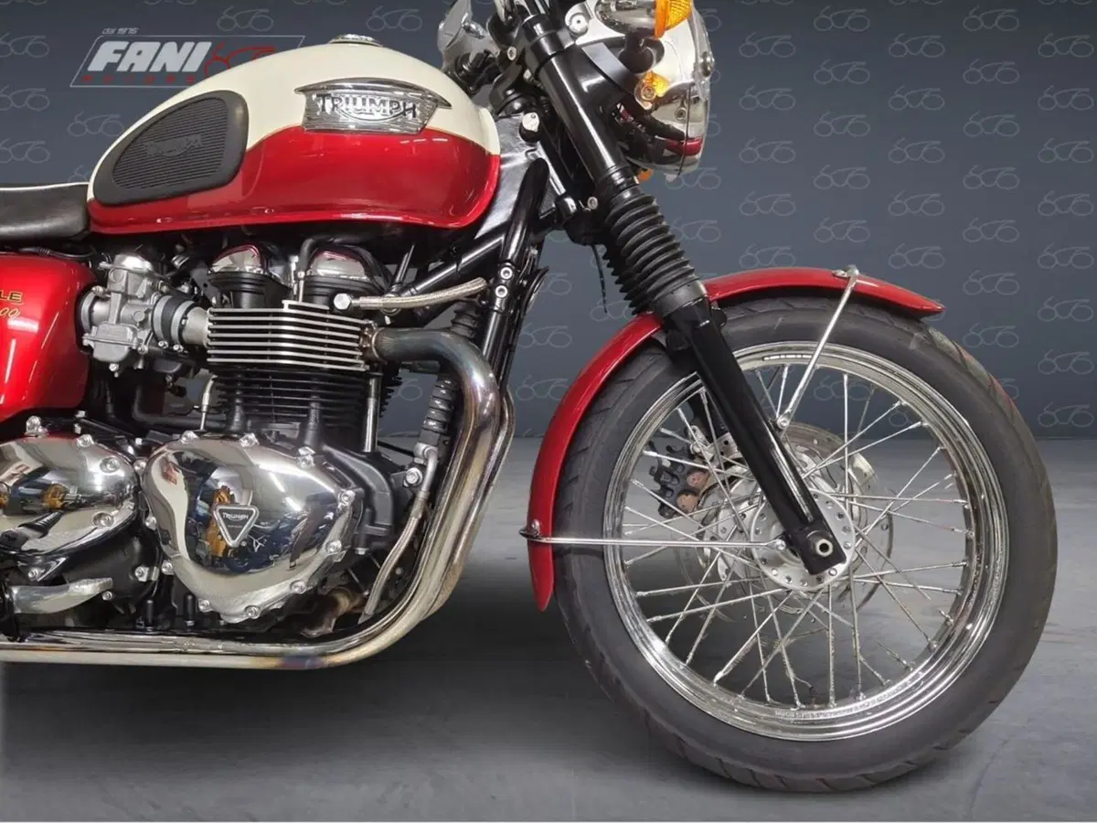 Triumph Bonneville T100 (2008 - 16) (6)