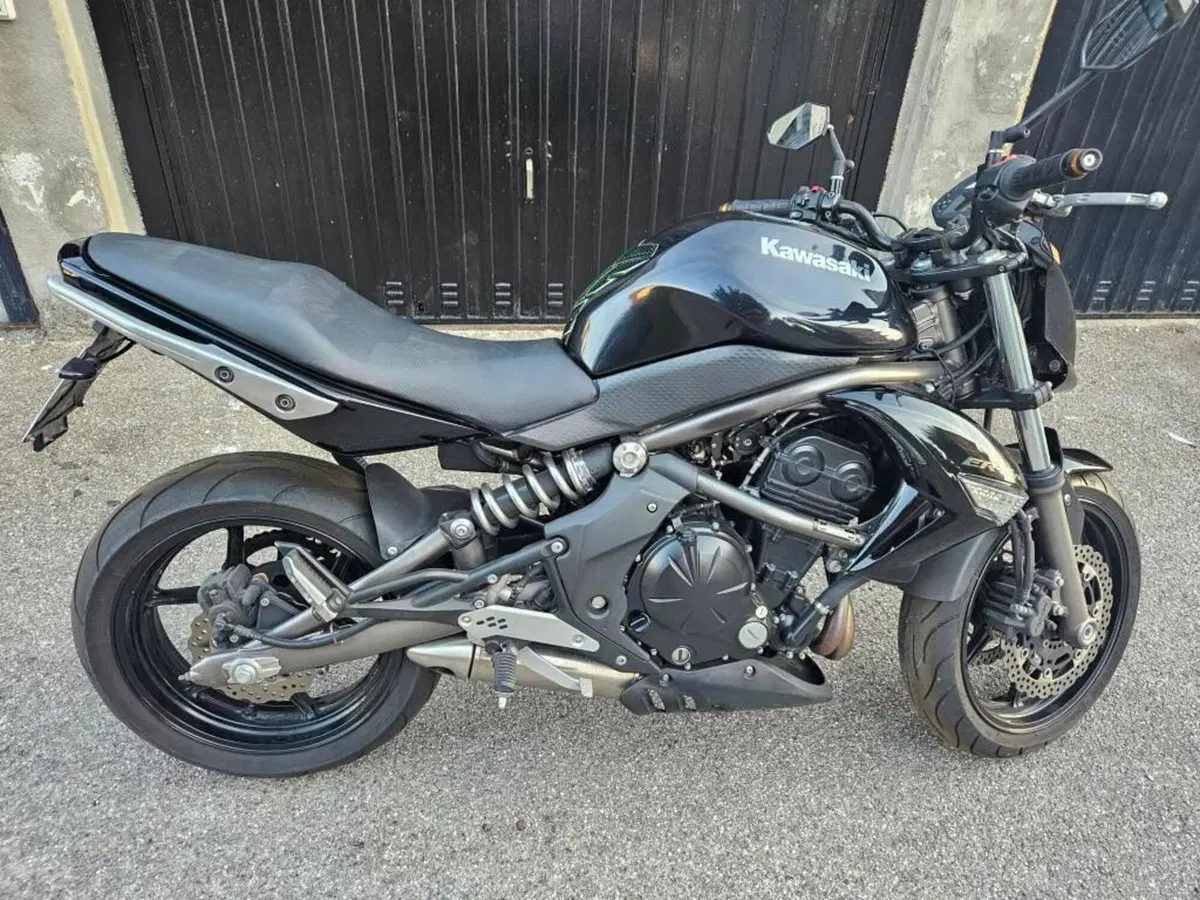 Kawasaki ER-6N (2009 - 11) (2)