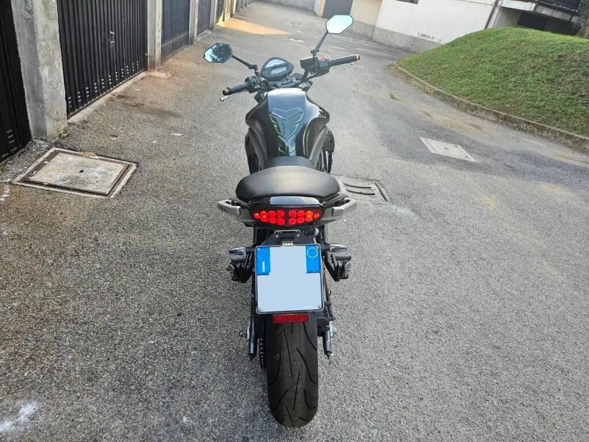 Kawasaki ER-6N (2009 - 11) (4)