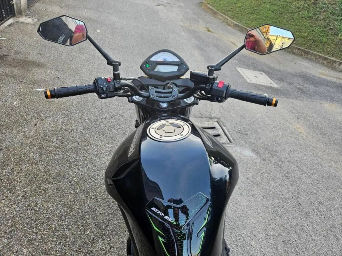 Kawasaki ER-6N (2009 - 11) (5)