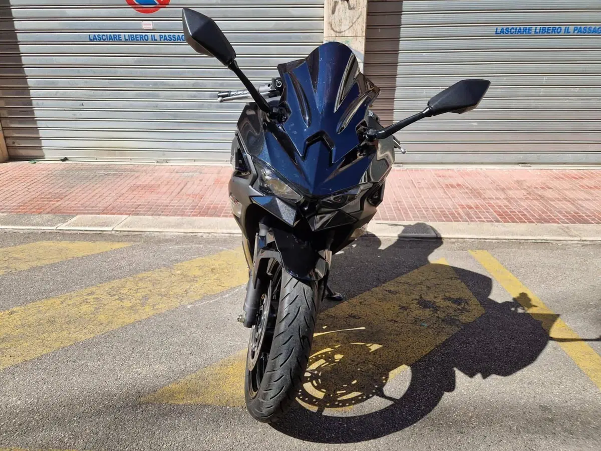 Kawasaki Ninja 500 SE Performance Arrow (2025 - 26) (2)
