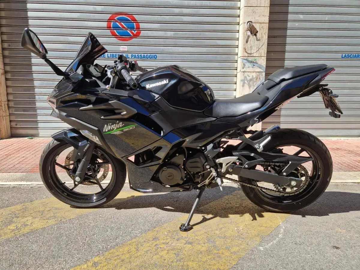 Kawasaki Ninja 500 SE Performance Arrow (2025 - 26) (3)