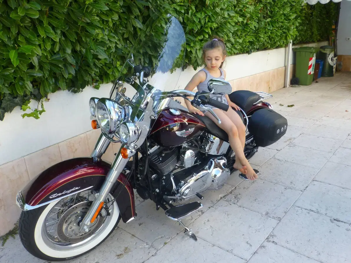 Harley-Davidson 107 Deluxe (2018 - 20) - FLDE (2)