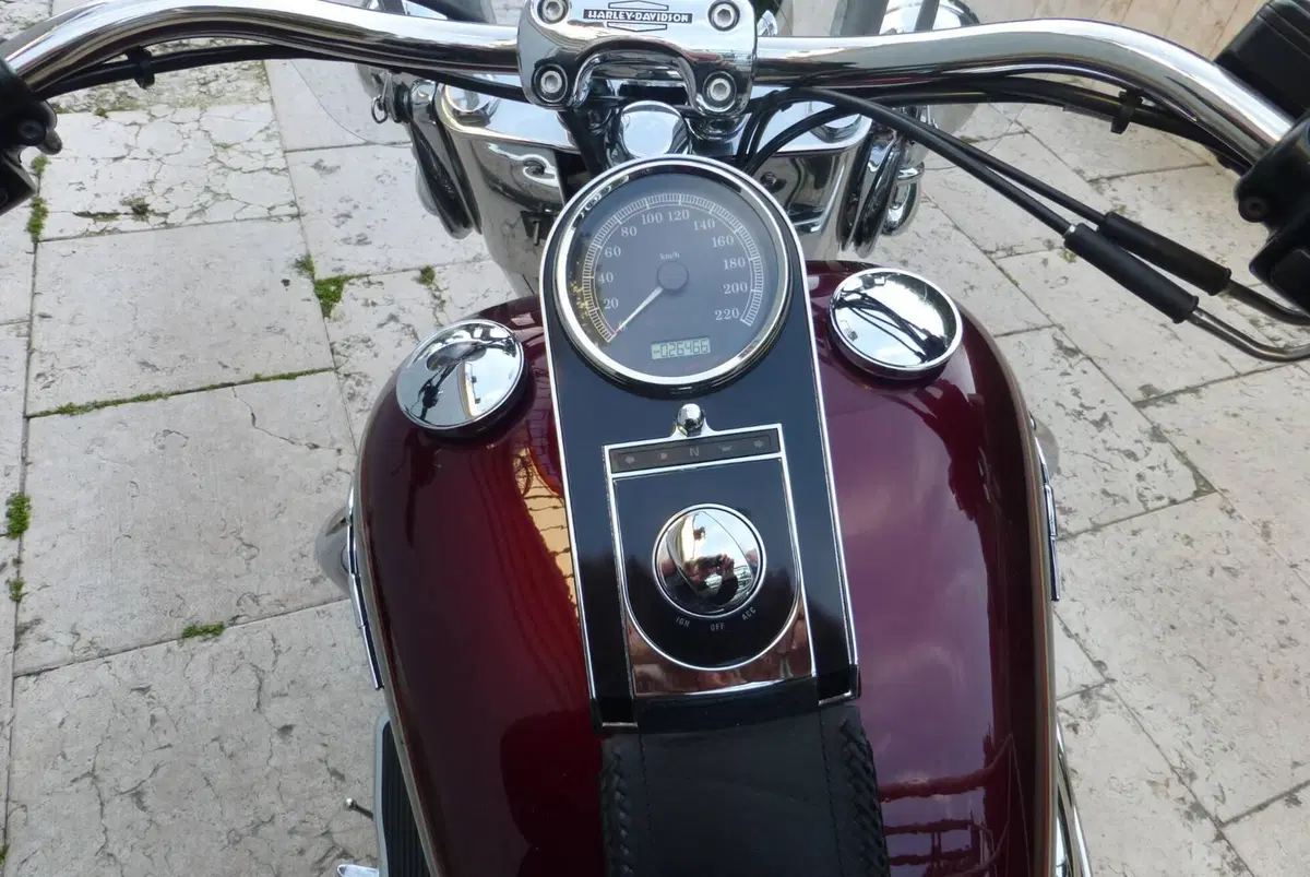 Harley-Davidson 107 Deluxe (2018 - 20) - FLDE (4)