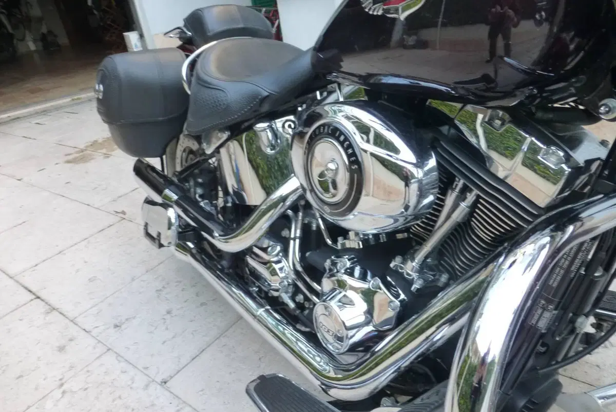 Harley-Davidson 107 Deluxe (2018 - 20) - FLDE (5)