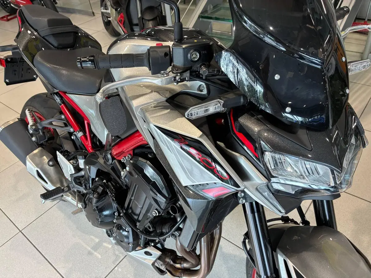 Kawasaki Z 900 (2021 - 24) (3)