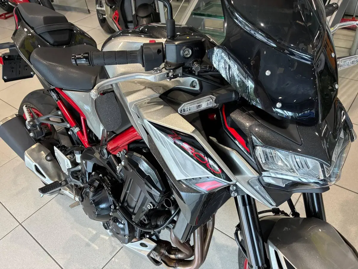 Kawasaki Z 900 (2021 - 24) (4)
