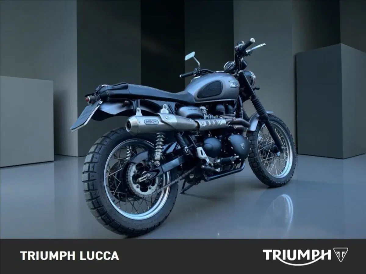 Triumph Scrambler (2006 - 17) (9)
