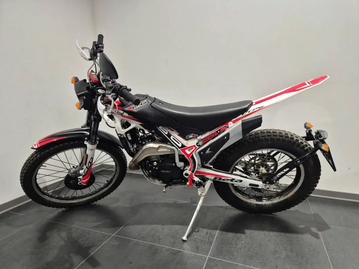 Betamotor Evo 300 SS 2t (2019 - 20) (2)
