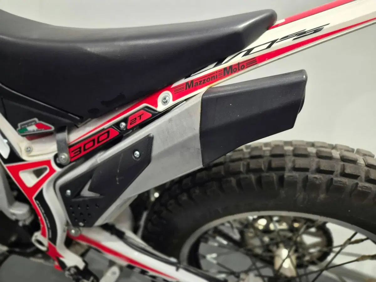 Betamotor Evo 300 SS 2t (2019 - 20) (8)