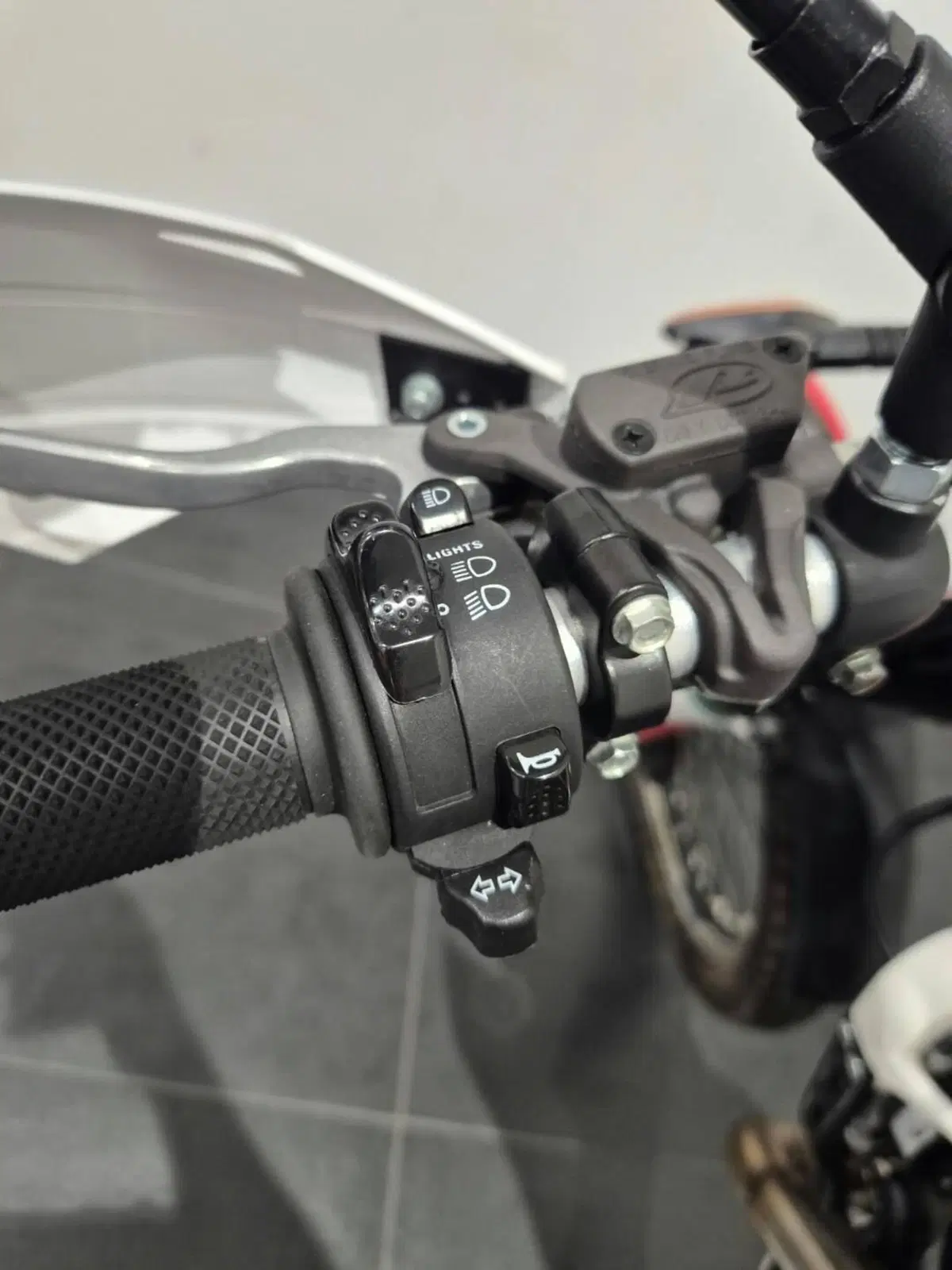 Betamotor Evo 300 SS 2t (2019 - 20) (10)
