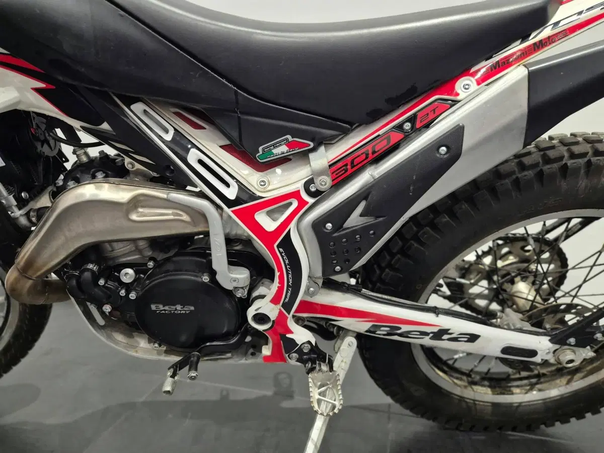Betamotor Evo 300 SS 2t (2019 - 20) (11)