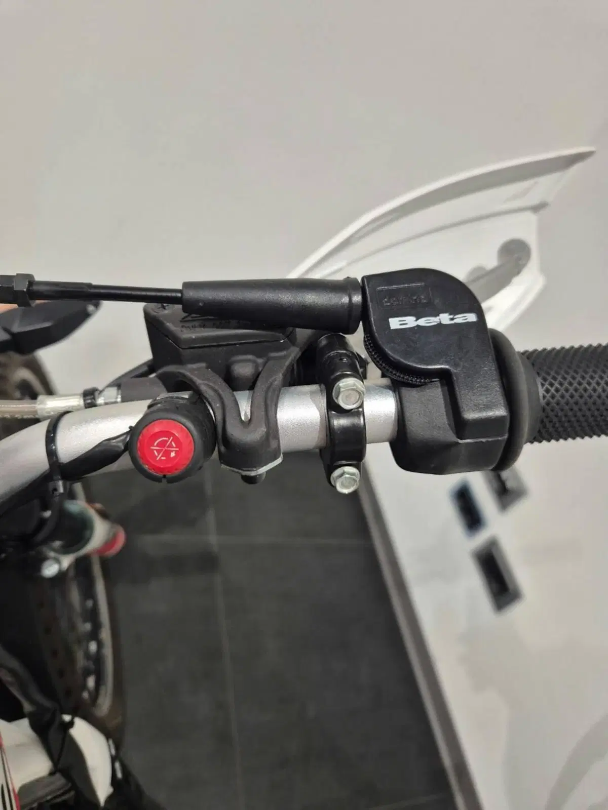 Betamotor Evo 300 SS 2t (2019 - 20) (13)