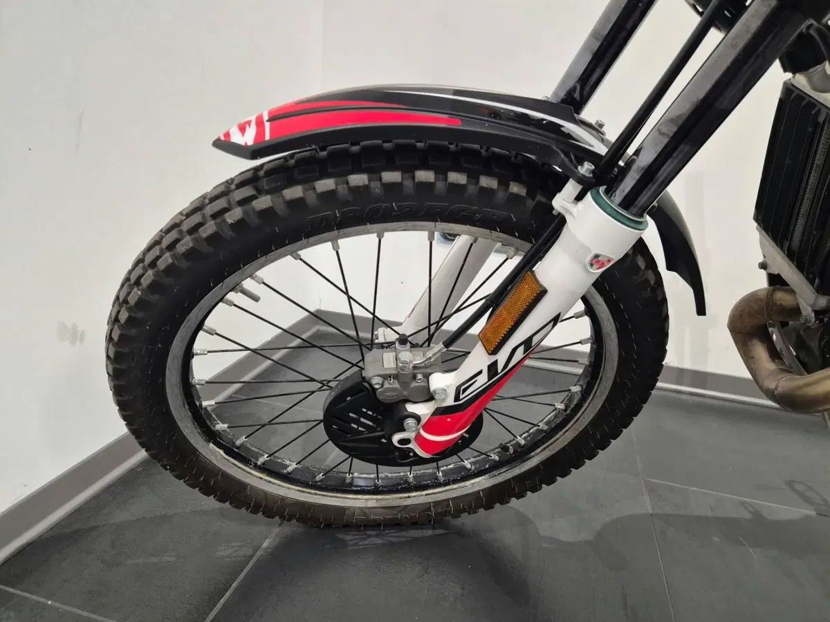 Betamotor Evo 300 SS 2t (2019 - 20) (15)
