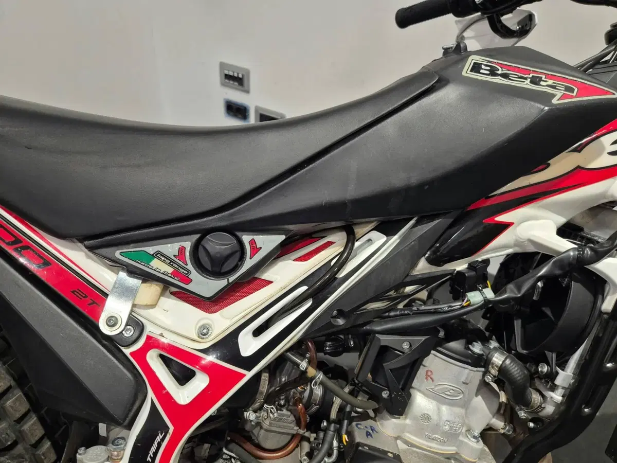 Betamotor Evo 300 SS 2t (2019 - 20) (19)