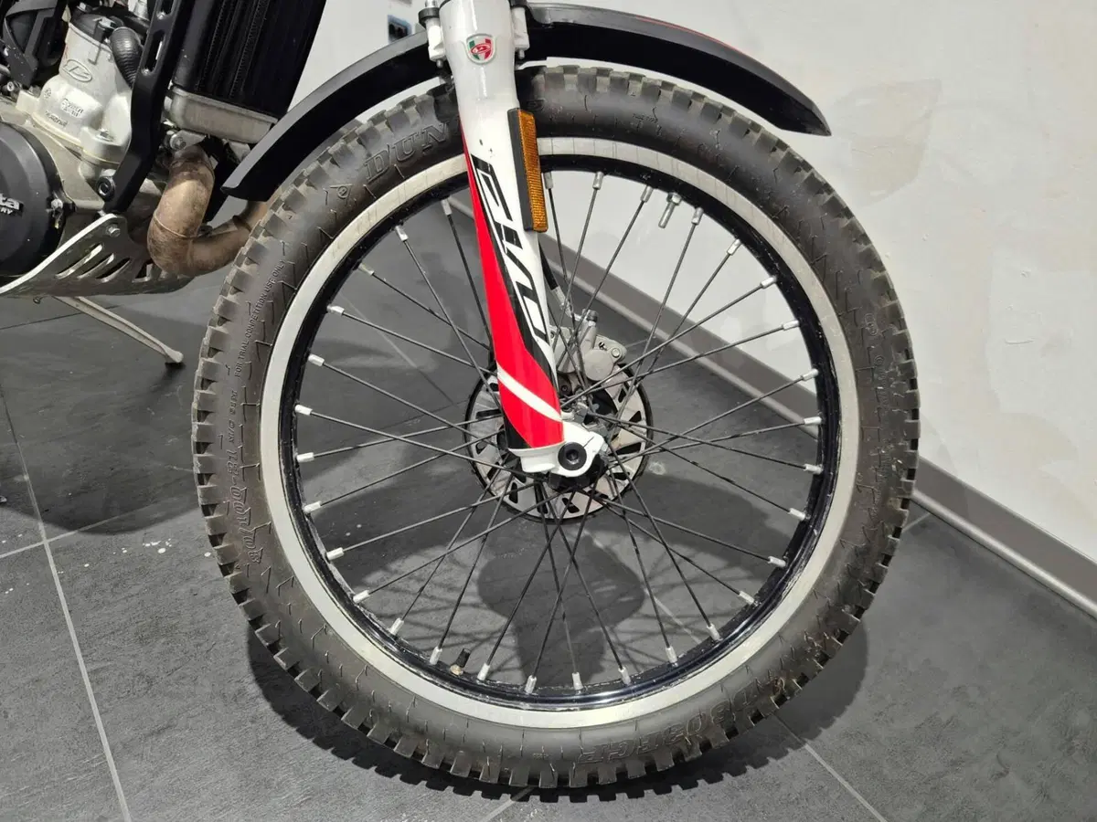 Betamotor Evo 300 SS 2t (2019 - 20) (20)