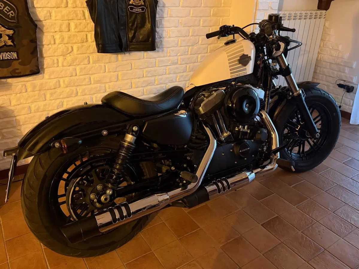 Harley-Davidson 1200 Forty-Eight (2016 - 20) (3)