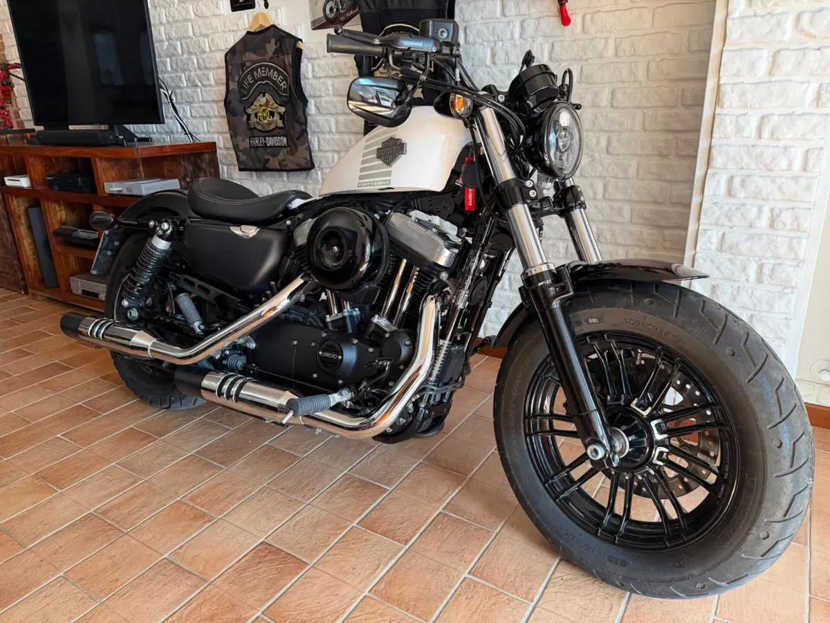 Harley-Davidson 1200 Forty-Eight (2016 - 20) (5)