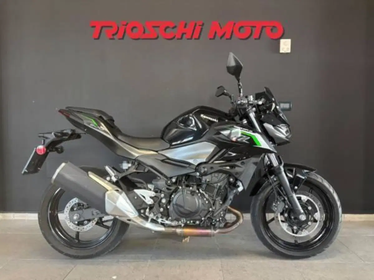 Kawasaki Z 500 (2024 - 26)