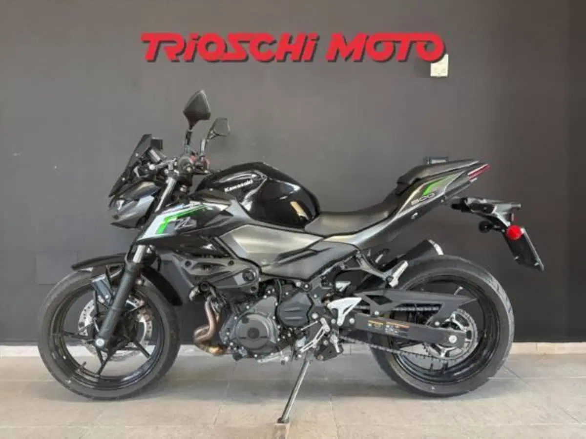 Kawasaki Z 500 (2024 - 26) (2)