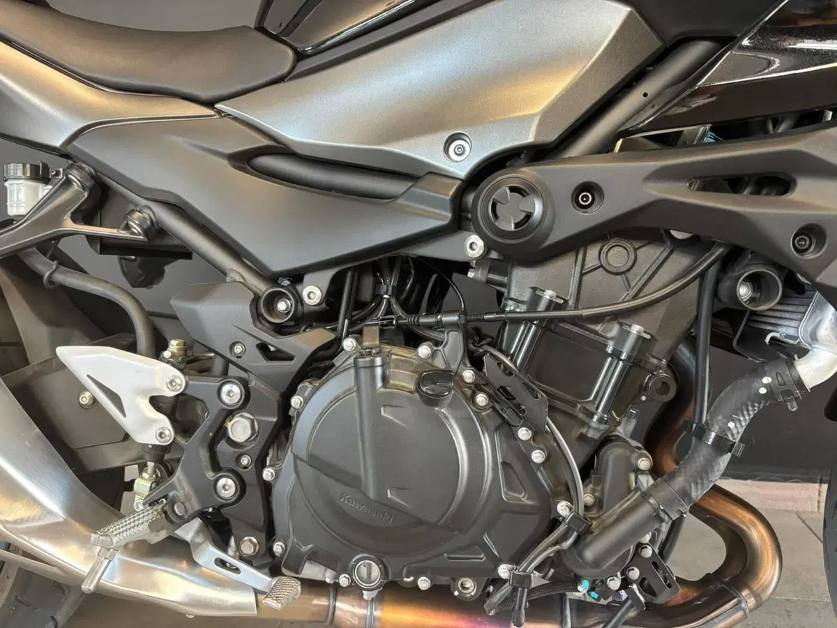 Kawasaki Z 500 (2024 - 26) (3)