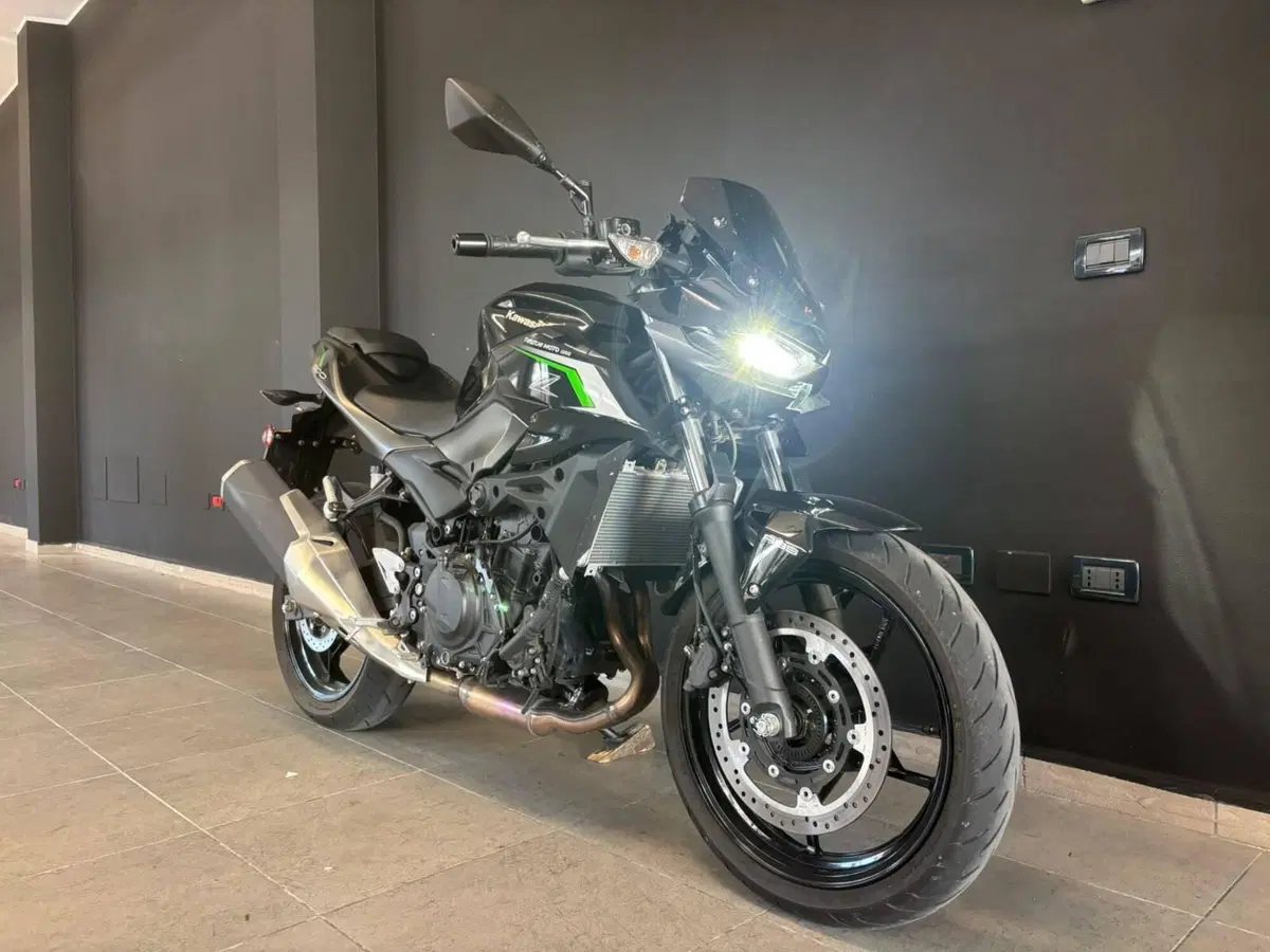 Kawasaki Z 500 (2024 - 26) (4)