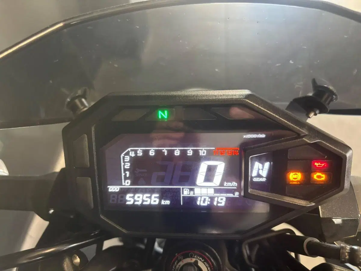 Kawasaki Z 500 (2024 - 26) (5)