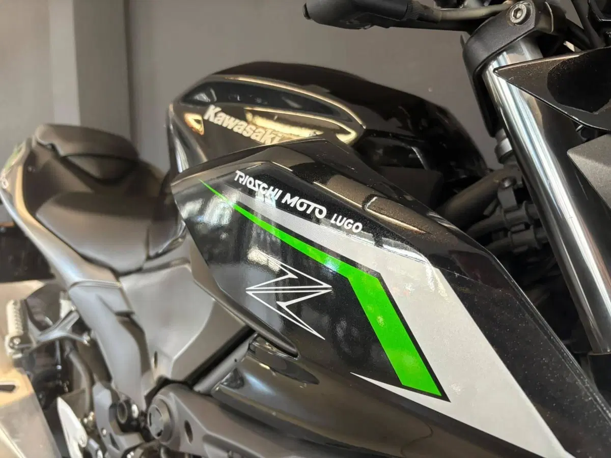 Kawasaki Z 500 (2024 - 26) (6)