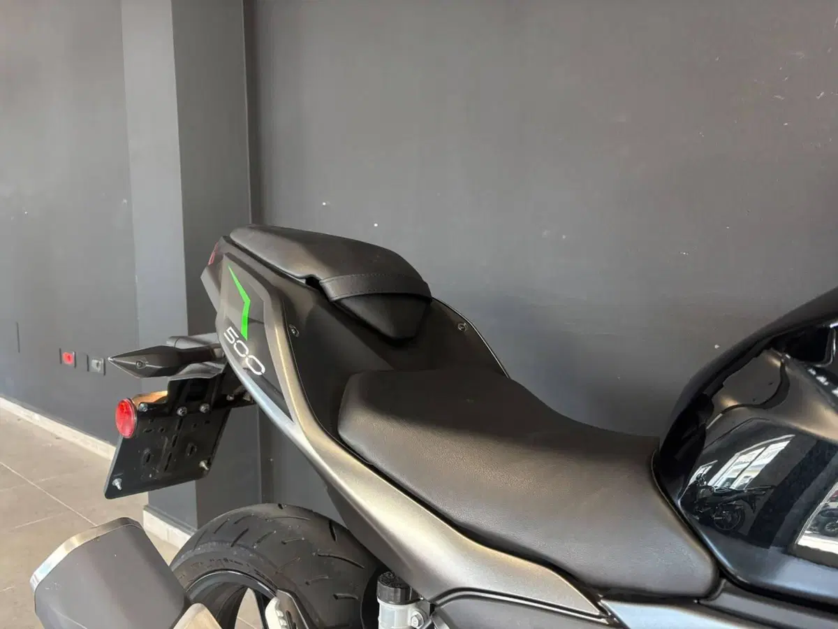 Kawasaki Z 500 (2024 - 26) (7)