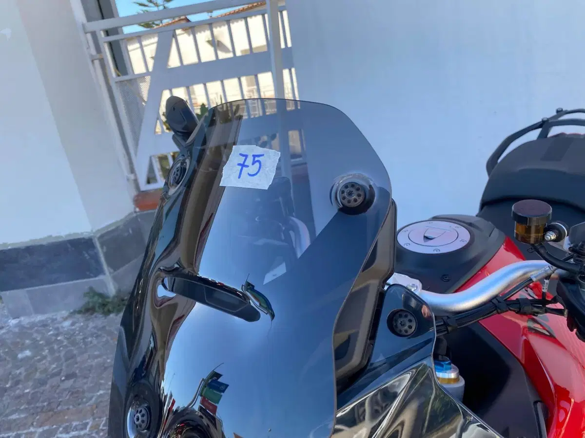 Ducati Multistrada V4 Pikes Peak (2025 - 27) (7)