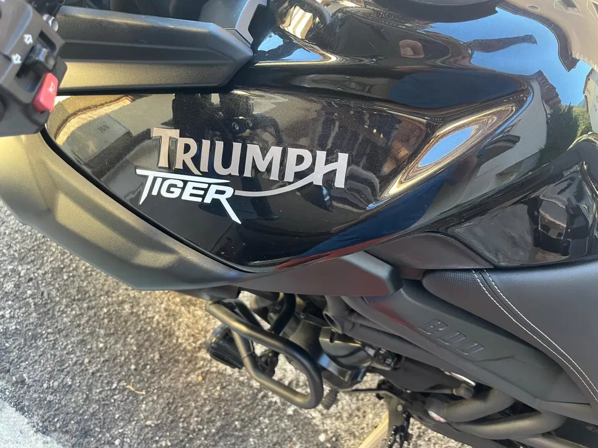 Triumph Tiger 800 ABS (2010 - 14) (5)