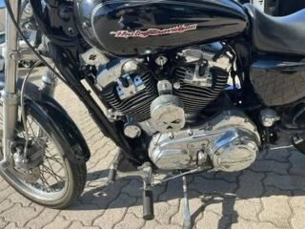 Harley-Davidson 1200 Custom (2004 - 06) - XL 1200C (4)