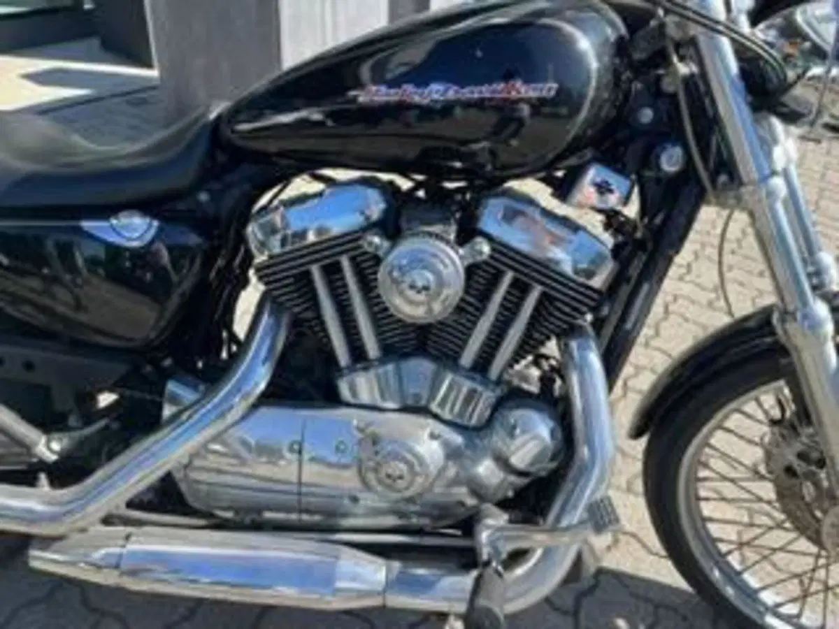 Harley-Davidson 1200 Custom (2004 - 06) - XL 1200C (6)