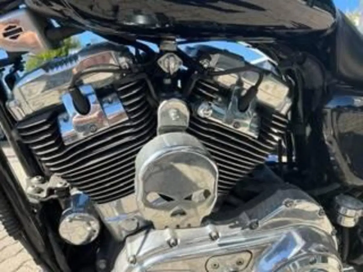 Harley-Davidson 1200 Custom (2004 - 06) - XL 1200C (7)