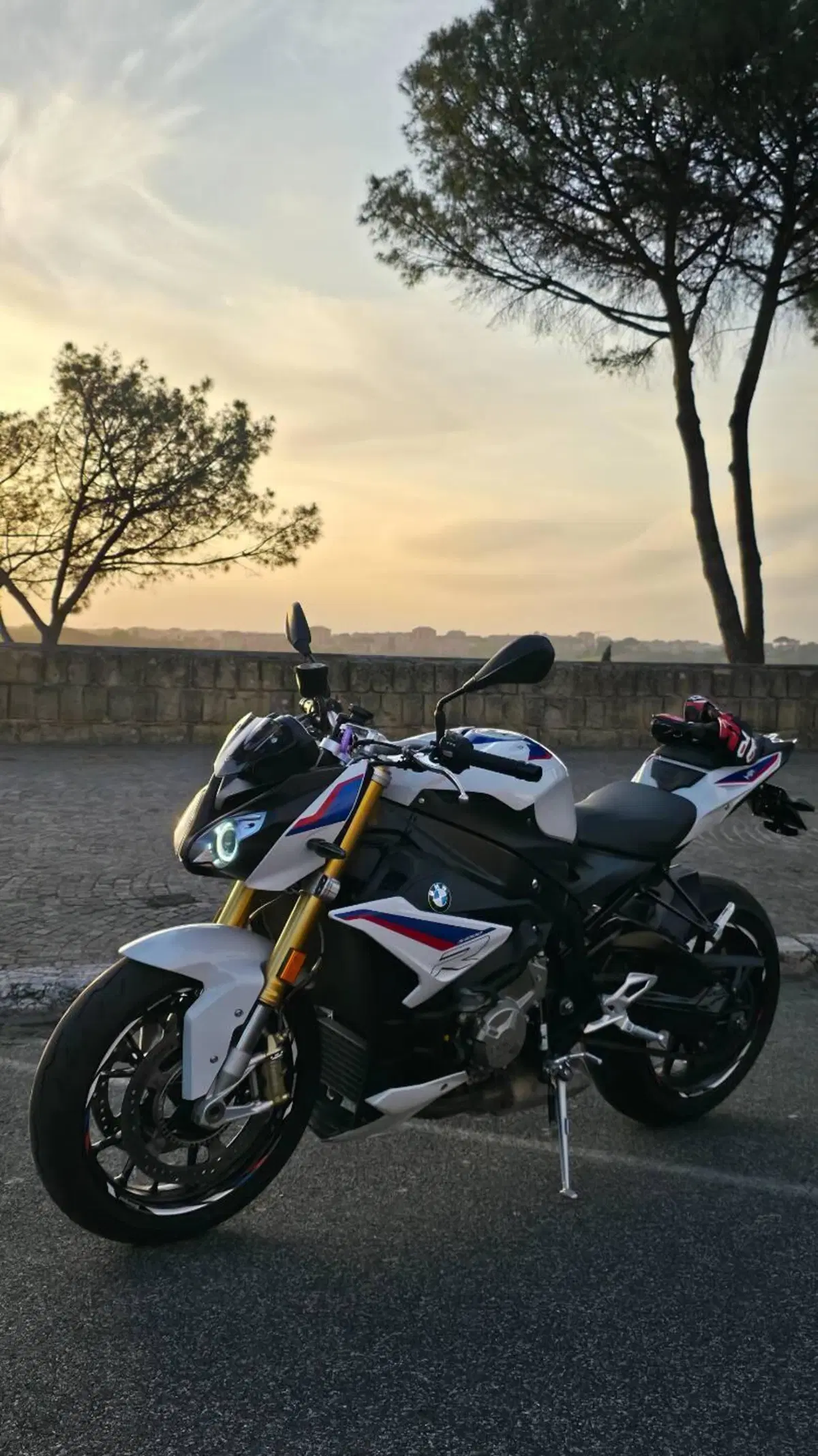 Bmw S 1000 R (2017 - 20) (3)