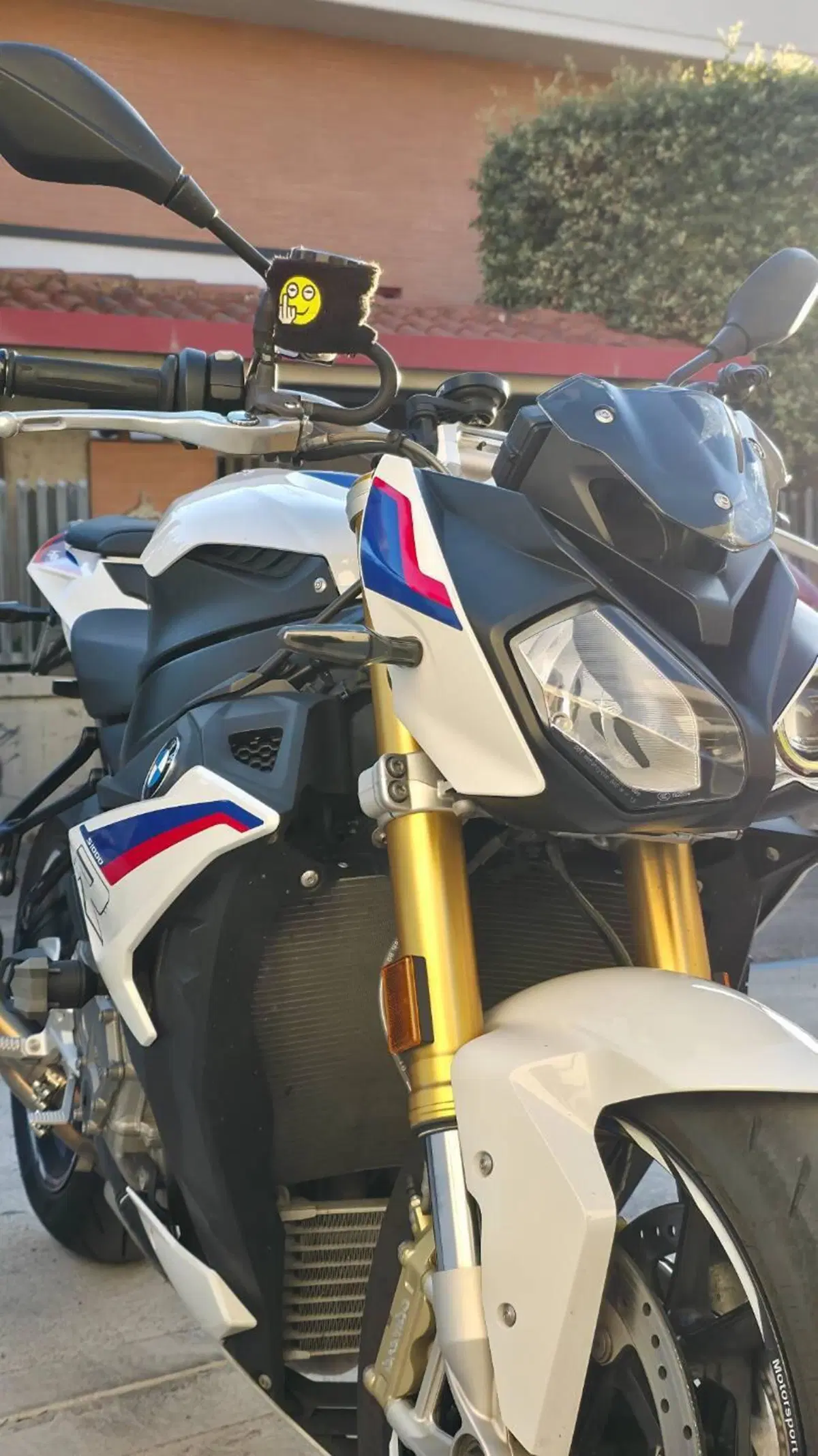 Bmw S 1000 R (2017 - 20) (5)