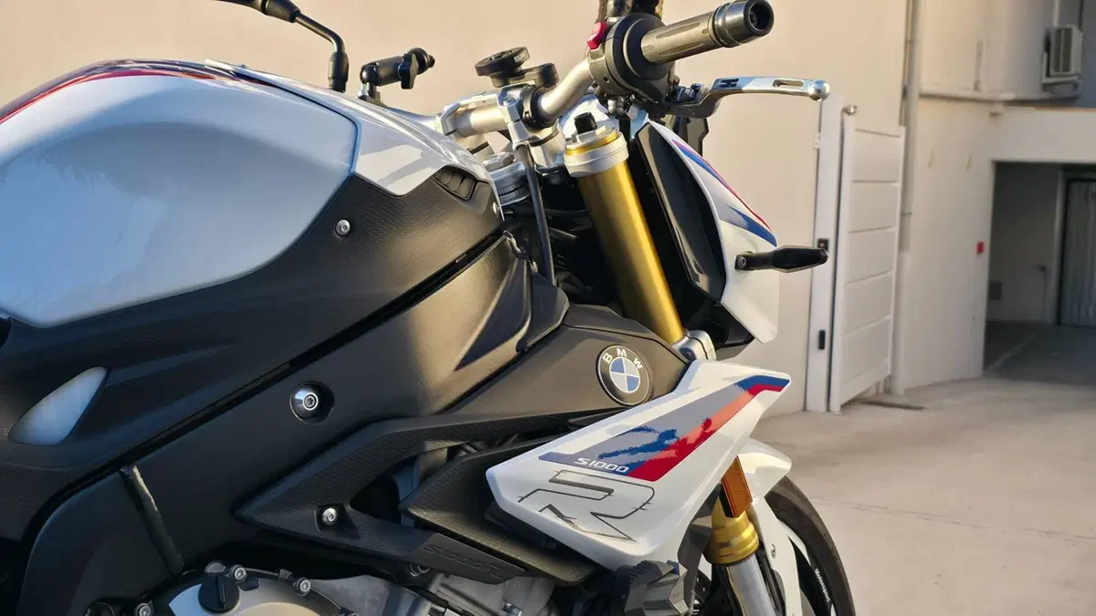 Bmw S 1000 R (2017 - 20) (6)