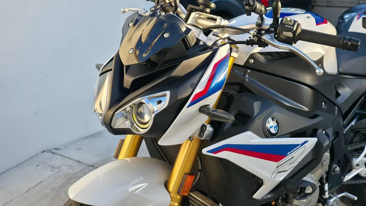 Bmw S 1000 R (2017 - 20) (8)